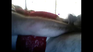 602 chubby porn videos